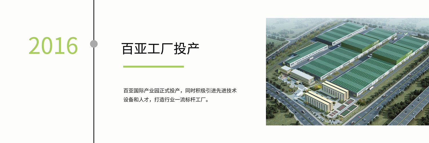 百亞股份